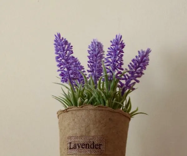 Апартамент Margis